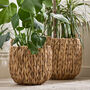 Set Of Two Water Hyacinth Planter Baskets, thumbnail 3 of 6