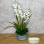 White Vanda Orchids Plants In Blue Pot Faux Flower Arrangement, thumbnail 1 of 3