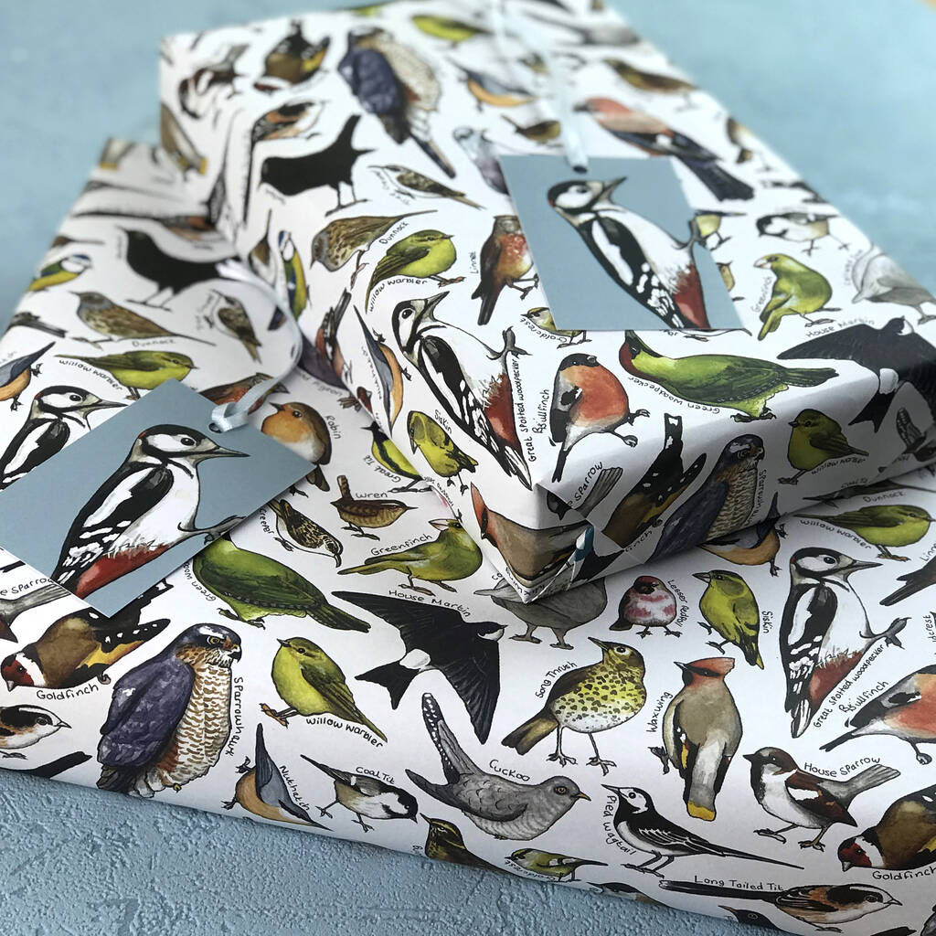 Garden Birds Wrapping Paper Set By Alexia Claire | notonthehighstreet.com