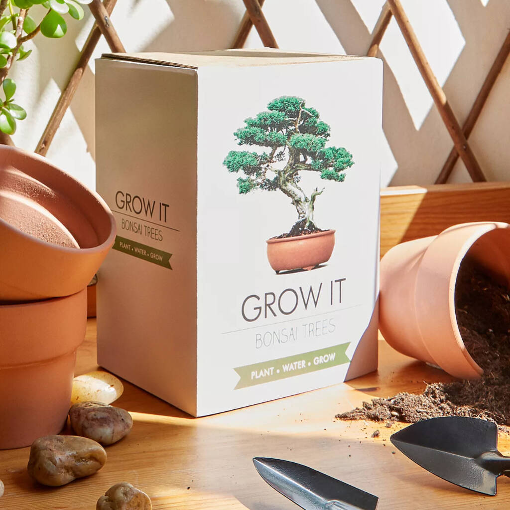Grow Your Own Bonsai Tree Kit, 1 of 3
