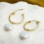 Pearl Gold Hoop Earrings, thumbnail 1 of 6