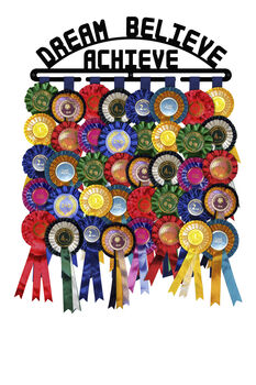 Rosette Holder Display | Dream Believe Achieve | Metal | Wall Mounted Dog Horse Show Rosette Hanger, 2 of 4