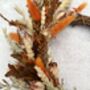 Small Dried Flower Autumn Wreath, thumbnail 9 of 9