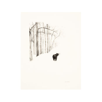 'Bear In The Woods' Children's Illustration Print, 2 of 3