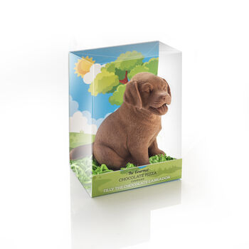 Tilly The Milk Chocolate Labrador, 2 of 2