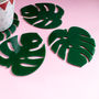 Cheese Plant Leaf Perspex Coasters, thumbnail 3 of 4