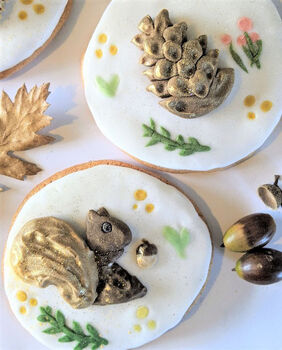 Personalised Hand Iced Woodland Creatures Biscuit Box, 2 of 12