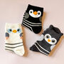 Striped Owl Three Pairs Of Socks In A Gift Box, thumbnail 7 of 8