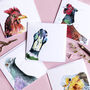 'Quirky Birds' Pack Of Five Blank Greeting Cards, thumbnail 6 of 7