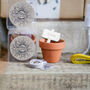 Personalised Family Sunflower Growing Competition Set, thumbnail 4 of 7