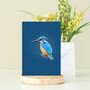 Illustrated Kingfisher Birthday Card, thumbnail 2 of 2