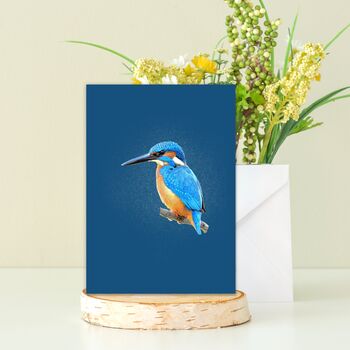 Illustrated Kingfisher Birthday Card, 2 of 2