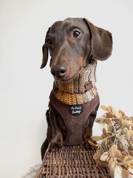 Coffee Bean Brown Cord Puppy Dog Harness Xs L, 9 of 11