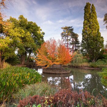 R.H.S Wisley Garden Experience For Two, 7 of 10