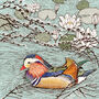 'Mandarin Duck' Print, thumbnail 3 of 3
