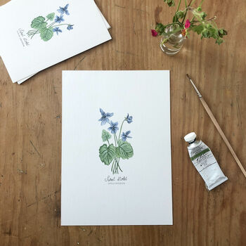 ‘Sweet Violet’ Wildflower Botanical Giclée Art Print, 3 of 3