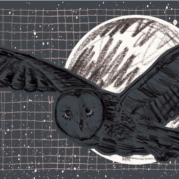 Barn Owl Art Print Night Owl Print A3, 2 of 5