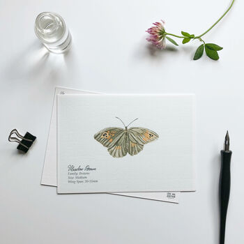 ‘Butterflies’ Set Of Hand Illustrated Postcards, 3 of 6