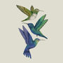 'Antique Hummingbirds Ii' Fine Art Print, thumbnail 6 of 6