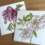 Winter Hellebore Watercolour Botanical Cards, thumbnail 2 of 2