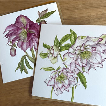 Winter Hellebore Watercolour Botanical Cards, 2 of 2