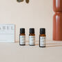 Set Of Three Italy Inspired Diffuser Fragrance Oils, thumbnail 4 of 4