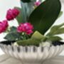 Large Pink Phalenopsis Orchid In Silver Fluted Bowl, thumbnail 4 of 9
