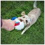 Photography Fun With Your Dog, thumbnail 9 of 10
