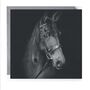 Stunning Horse Hand Drawn Greeting Card, thumbnail 3 of 7