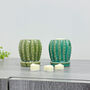 Green Cactus Wax Melt Burner And Wax Melt Gift Set, thumbnail 4 of 8