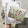 Butterflies And Bees Wildflowers Stationery Bundle, A5 Notepad And Six Folded Cards And Envelopes, thumbnail 4 of 8
