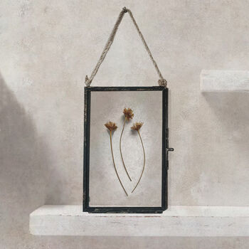 Trio Of Vintage Pressed Flower Frames Natural Wheat, 6 of 11