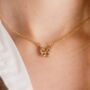 Gold Plated Sparkly Zircon Butterfly Charm Necklace, thumbnail 1 of 3