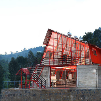 Solar Green Loose Leaf Tea, 5 of 8