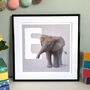 Illustrated Animal Letters A To Z Nursery Prints, thumbnail 2 of 10