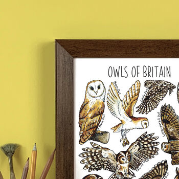 Owls Of Britain Wildlife Watercolour Print, 4 of 5