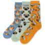The Animals Socks Box Letterbox Gift, Three Pairs, thumbnail 2 of 3