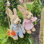 Easter Decorative Bunny On Swing Decoration, thumbnail 6 of 6