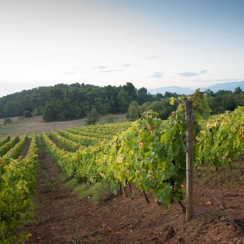 Merlot Boxed Wine, 4 of 4