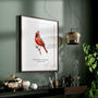 Northern Cardinal Bird Illustration Print, thumbnail 2 of 6