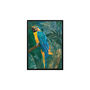 Framed Macaw Tropical Jungle Wall Art Print Copper, thumbnail 2 of 8
