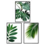 Set Of Three Botanical Green Leaves Prints, thumbnail 2 of 10