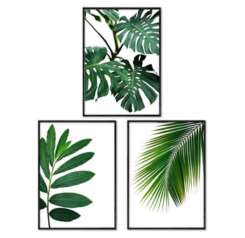 Set Of Three Botanical Green Leaves Prints, 2 of 10