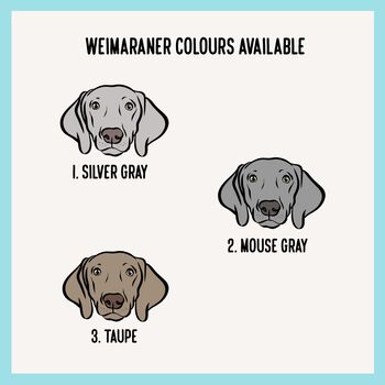 Weimaraner Dog T Shirt, 4 of 6