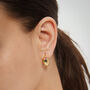 Rainbow Sapphire Dome Hoop Earrings, thumbnail 1 of 7