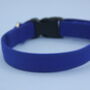 Bright Blue Dog Collar, thumbnail 5 of 12