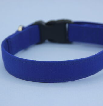 Bright Blue Dog Collar, 5 of 12