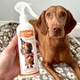 Rinse Free Deodorising Dog Spray Tutti Frutti, thumbnail 2 of 2