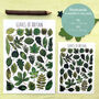 Leaves Of Britain Illustrated Postcard, thumbnail 2 of 9