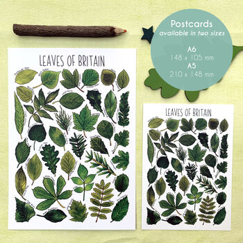 Leaves Of Britain Illustrated Postcard, 2 of 9